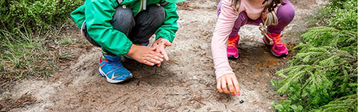 Nature Walk & Scavenger Hunt