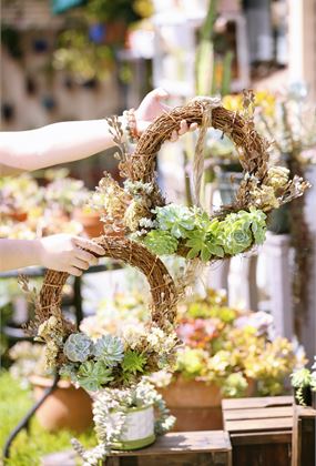 Create a Succulent Christmas Wreath Workshop