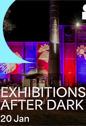 Exhibitions After Dark: A Time to Thrive