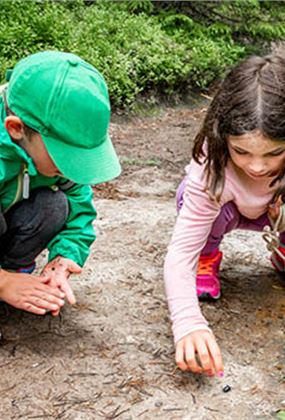 Nature Walk & Scavenger Hunt